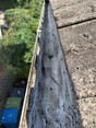 Image 6 for RDM Window Cleaning Ltd T/A RDM Property Maintenance