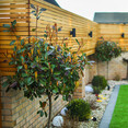 Image 5 for Armstrong Gardens and Landscapes Ltd