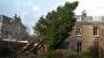 Image 5 for Edinburgh Gardeners Limited T/A Edinburgh Tree Surgeons