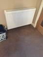 Review Image 1 for Bluewave Heating Services Limited by Lesley Donaldson