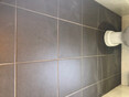 Review Image 3 for Brian Ford Tiling by Pauline Crowe