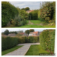 Review Image 1 for Armstrong Gardens and Landscapes Ltd by Fiona and Eddie Pigott