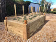 Image 6 for Hard Graft Garden Services
