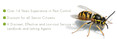 Image 7 for Wee Critters Pest Control Services Limited