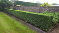 Image 5 for North Berwick Gardening and Turfcare Services