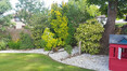Image 7 for North Berwick Gardening and Turfcare Services