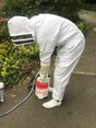 Image 3 for Barricade Group Limited T/A Barricade Pest Control