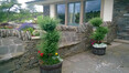 Image 8 for Flora Gardening Ltd