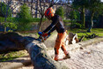 Image 3 for JDS Gardening Ltd T/A JDS Trees