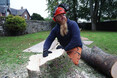 Image 4 for JDS Gardening Ltd T/A JDS Trees