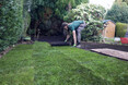 Image 8 for JDS Gardening Ltd T/A JDS Trees