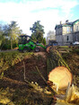 Image 2 for Norrie Sloan Tree Services