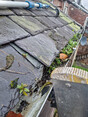 Image 5 for West Coast Property and Garden Services