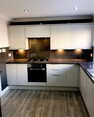Image 2 for Handyman Dan