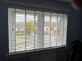 Image 6 for Vue Window Blinds