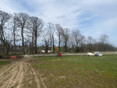 Image 10 for HL Tree Services