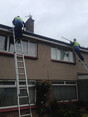 Image 1 for Diamond Window Cleaning