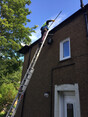 Image 2 for Diamond Window Cleaning