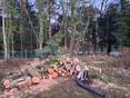 Image 11 for CF Tree Surgeons