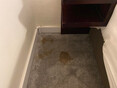 Image 9 for Acorn Carpet Cleaning