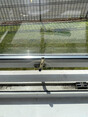 Image 6 for Quick Pick Locksmiths Ltd