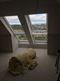 Image 4 for Pinnacle Lofts Edinburgh