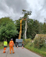 Image 4 for Forres Tree Services Ltd