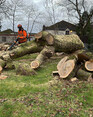 Image 12 for Forres Tree Services Ltd