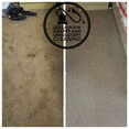 Image 4 for Dullanview Carpet & Upholstery Cleaning