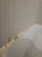 Image 4 for Silicone Sealant Solutions