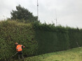 Image 10 for Ogilvie Hayes Tree and Garden Services