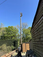Image 2 for Blaikie Tree Services Ltd