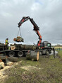 Image 5 for Blaikie Tree Services Ltd