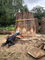 Image 10 for Blaikie Tree Services Ltd