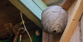 Image 1 for Highland Pest Response