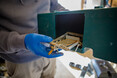 Image 4 for Highland Pest Response