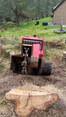 Image 2 for Wyvis Tree Services Ltd