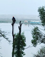 Image 3 for Wyvis Tree Services Ltd