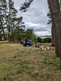 Image 5 for Wyvis Tree Services Ltd
