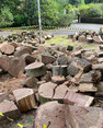 Image 7 for Wyvis Tree Services Ltd