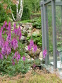 Image 1 for The Green Garden Company (Edinburgh) Ltd