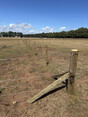 Image 12 for Clark Drystone Walling & Fencing