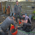 Image 2 for Edinburgh Gardening Services Limited