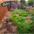 Image 6 for Edinburgh Gardening Services Limited