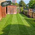 Image 7 for Edinburgh Gardening Services Limited