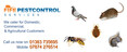 Image 4 for Fife Pest Control Services