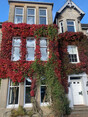 Image 10 for Window World Scotland