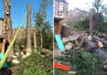 Image 10 for Edinburgh Gardeners Limited T/A Edinburgh Tree Surgeons