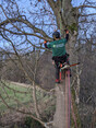 Image 1 for Edinburgh Gardeners Limited T/A Edinburgh Tree Surgeons