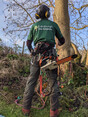 Image 3 for Edinburgh Gardeners Limited T/A Edinburgh Tree Surgeons